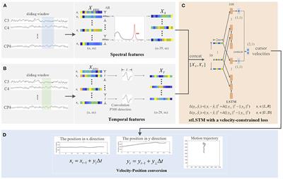 A Noninvasive BCI System for 2D Cursor Control Using a Spectral-Temporal Long Short-Term Memory Network